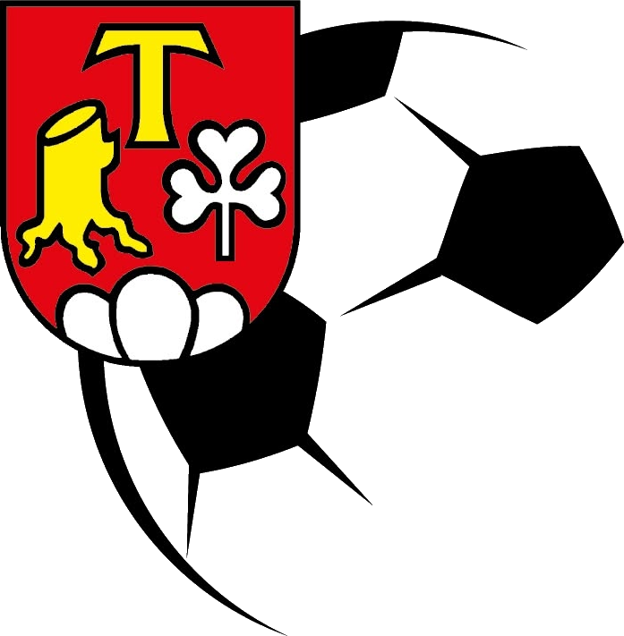 Fussballclub Dagmersellen